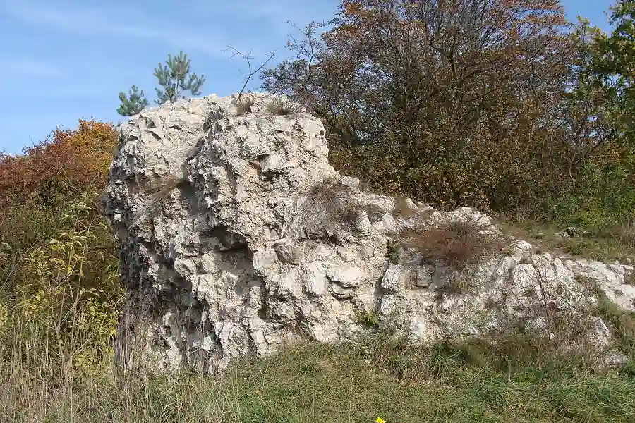 falkenburg rottleben